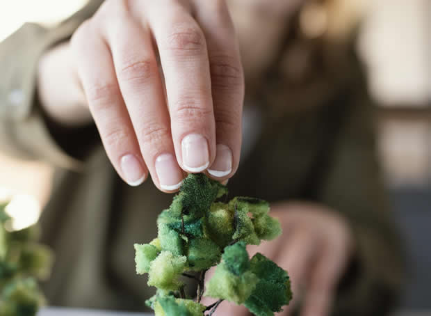 We envision a future where democracy thrives, communities are empowered, and every citizen enjoys economic stability, social justice, and equal opportunities. Our goal is to make lasting changes that benefit future generations.